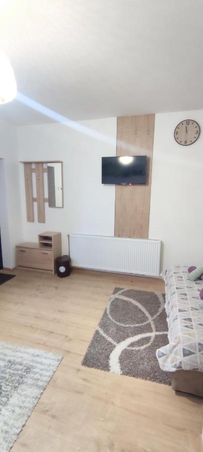 Zen Apartmani Zrenjanin Eksteriør bilde